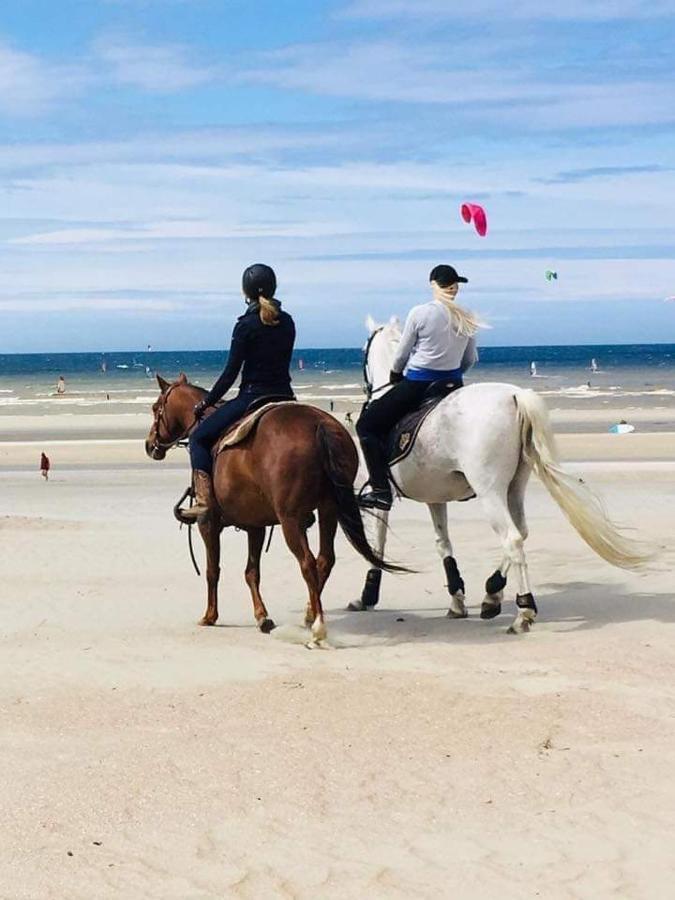 Duplex Villa Capricia Appartement Met Zwembad Nieuwpoort Jachthaven المظهر الخارجي الصورة