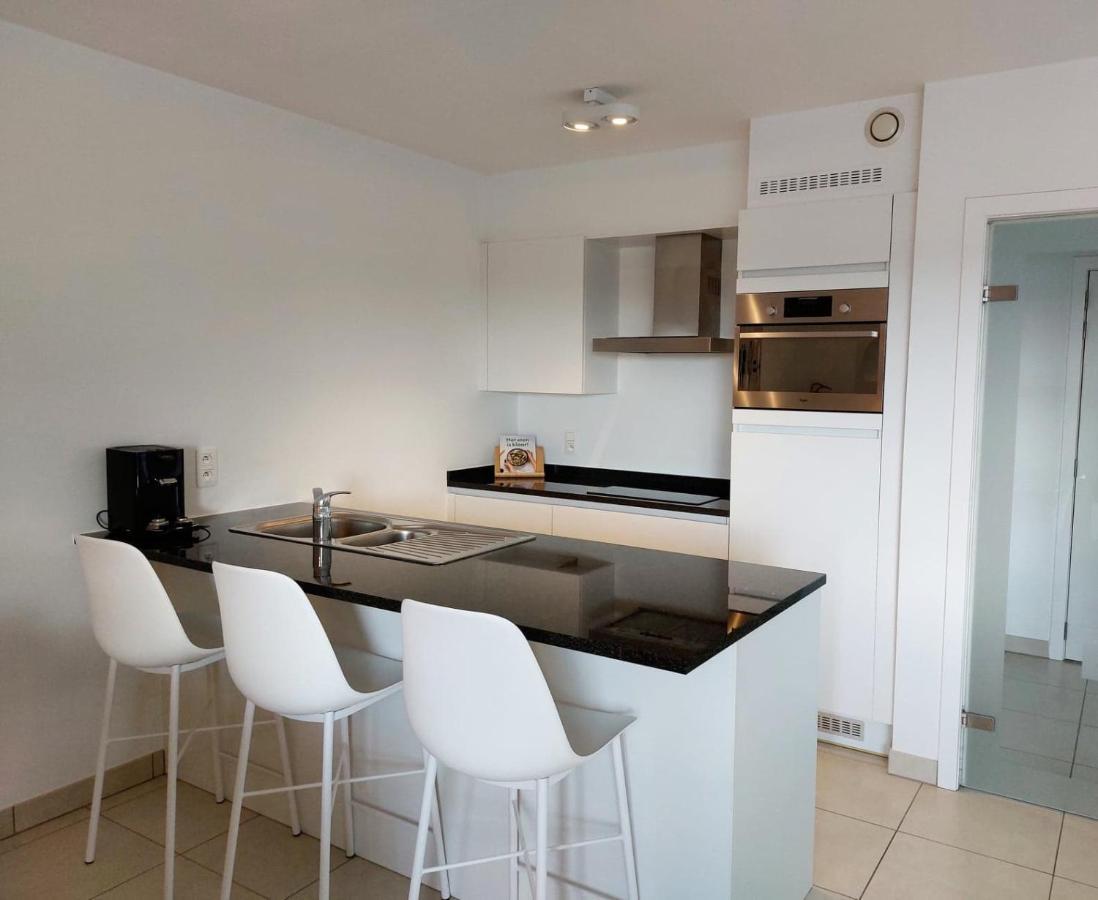 Duplex Villa Capricia Appartement Met Zwembad Nieuwpoort Jachthaven المظهر الخارجي الصورة