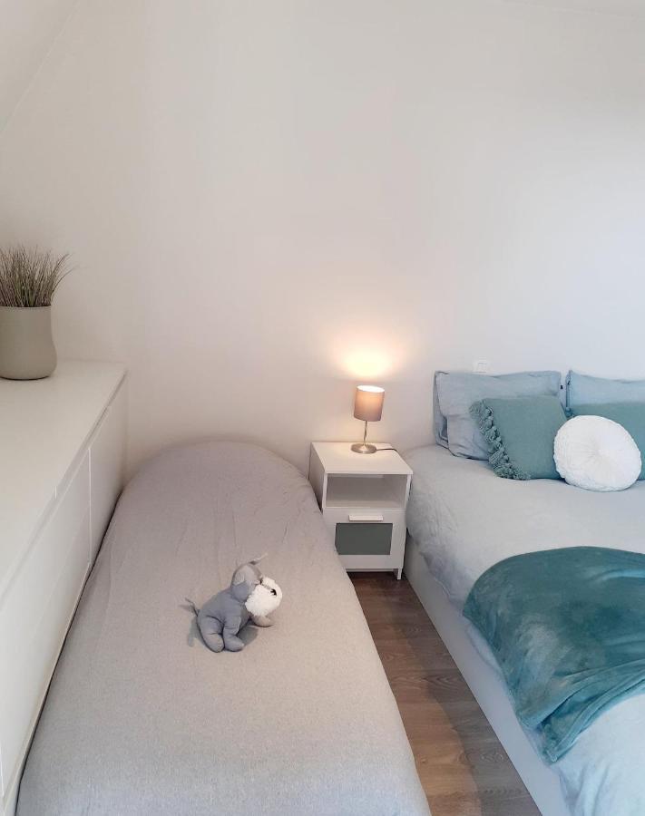 Duplex Villa Capricia Appartement Met Zwembad Nieuwpoort Jachthaven المظهر الخارجي الصورة