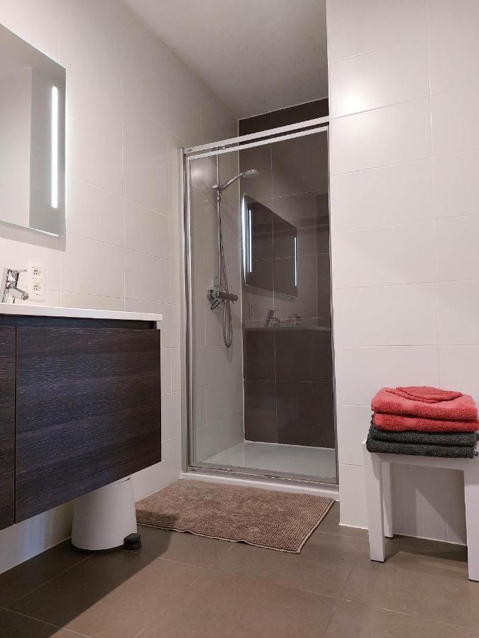 Duplex Villa Capricia Appartement Met Zwembad Nieuwpoort Jachthaven المظهر الخارجي الصورة