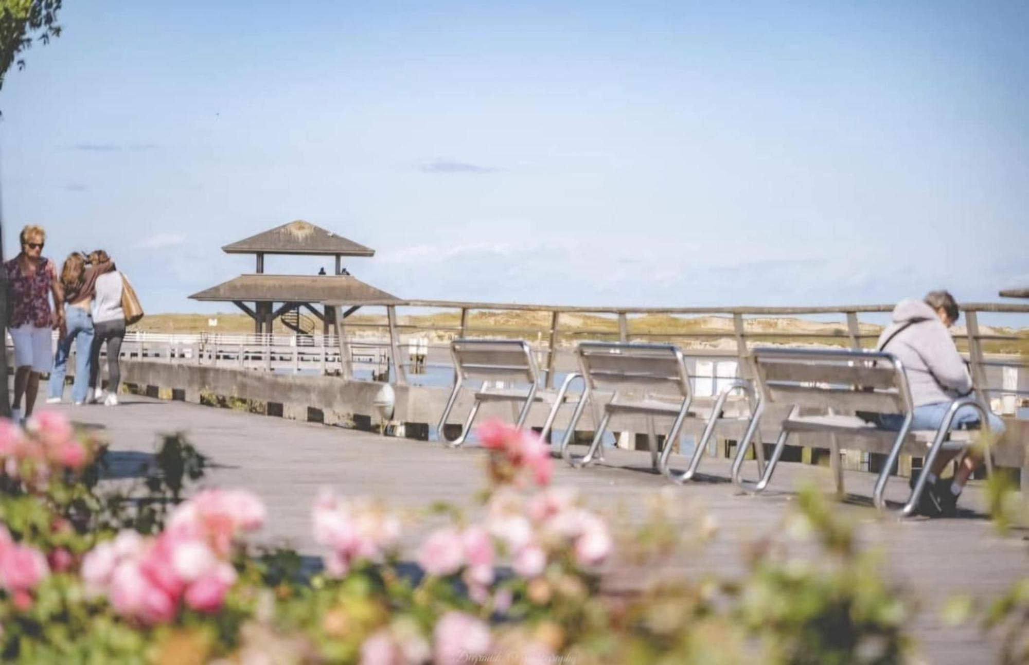 Duplex Villa Capricia Appartement Met Zwembad Nieuwpoort Jachthaven المظهر الخارجي الصورة