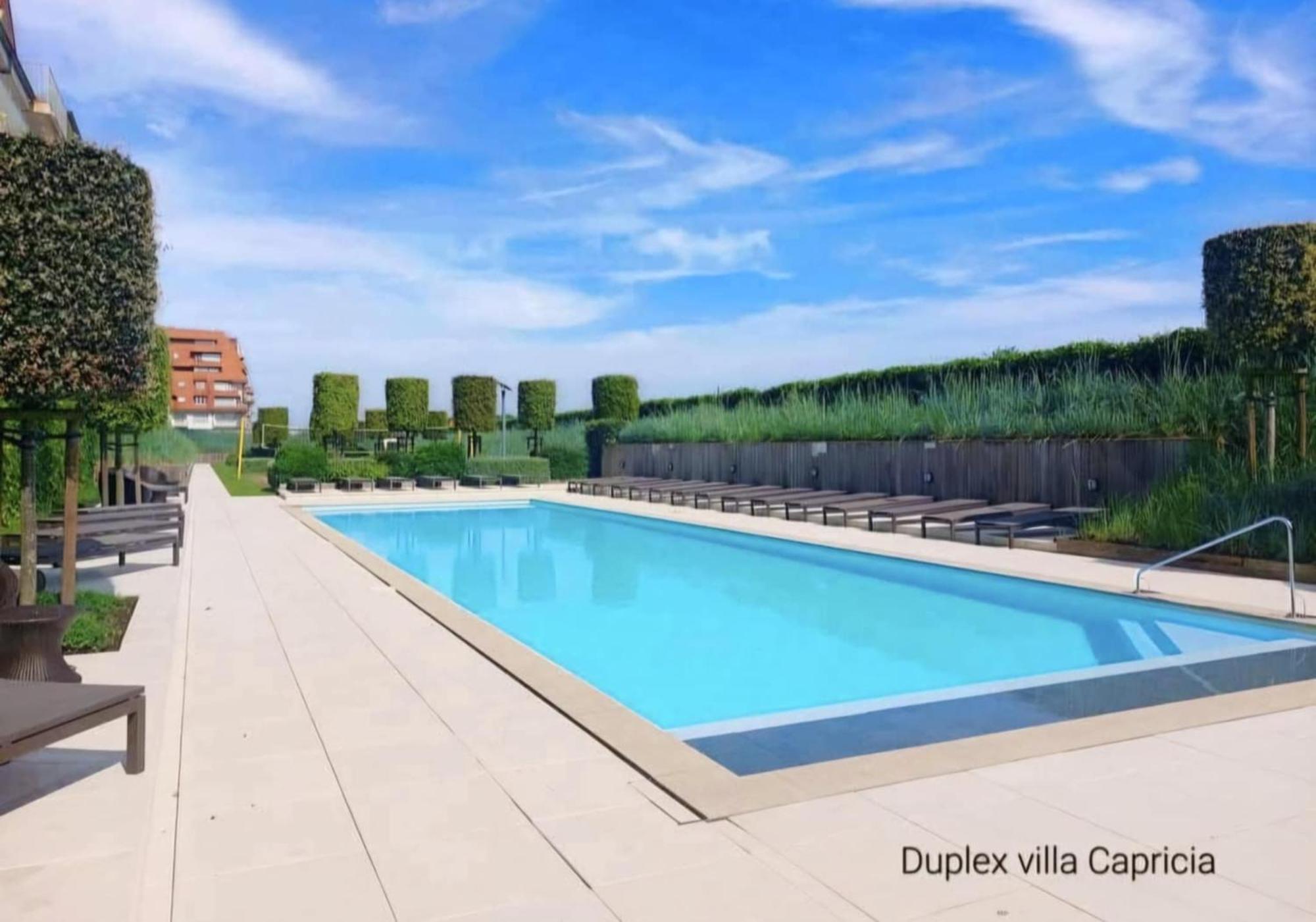 Duplex Villa Capricia Appartement Met Zwembad Nieuwpoort Jachthaven المظهر الخارجي الصورة